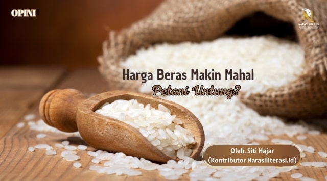 Harga Beras Makin Mahal Petani Untung?