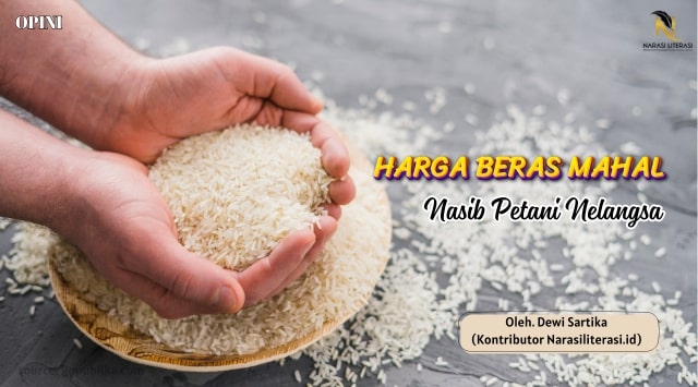 Harga Beras Mahal Nasib Petani Nelangsa