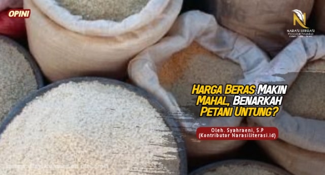 harga beras makin mahal