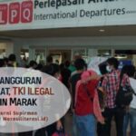 pengangguran meningkat TKI ilegal makin marak