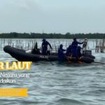 Pagar Laut, Kedaulatan Negara yang Tergadaikan