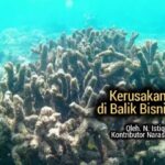 Kerusakan alam di Balik Bisnis Wisata