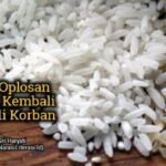 Beras Oplosan rakyat jadi korban