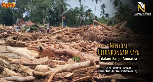 Menyoal gelondongan kayu