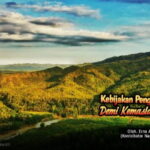 Kebijakan pengelolaan hutan demi kemaslahatan umat