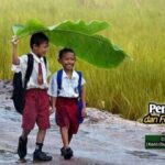 Pendidikan dan fungsi negara