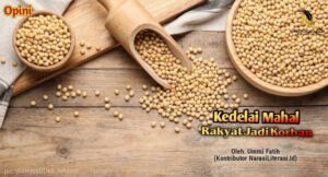 Kedelai mahal rakyat jadi korban