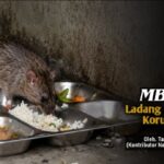 MBG ladang basah korupsi