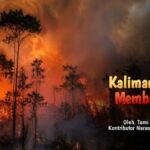 Kalimantan Membara