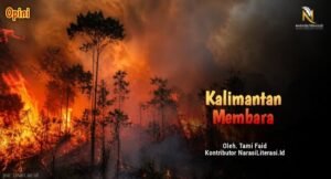 Kalimantan Membara