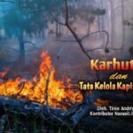 Karhutla dan tata kelola kapitalisme